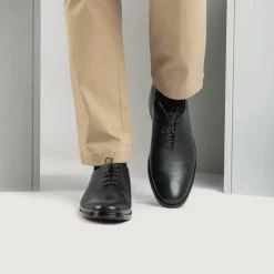 Director Wholecut Black Leather Shoes