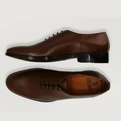 Director Wholecut Brown Leather Shoes