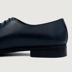 Director Wholecut Midnight Blue Leather Shoes