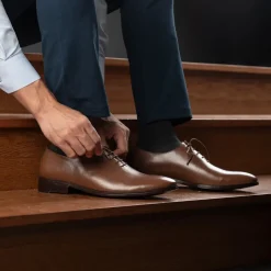 Director Wholecut Tan Leather Shoes