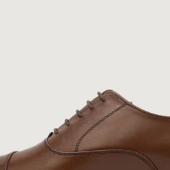 Professor Oxford Brown Leather Shoes