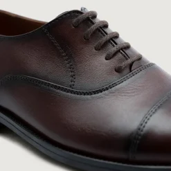 Professor Oxford Burnished Brown Leather Shoes